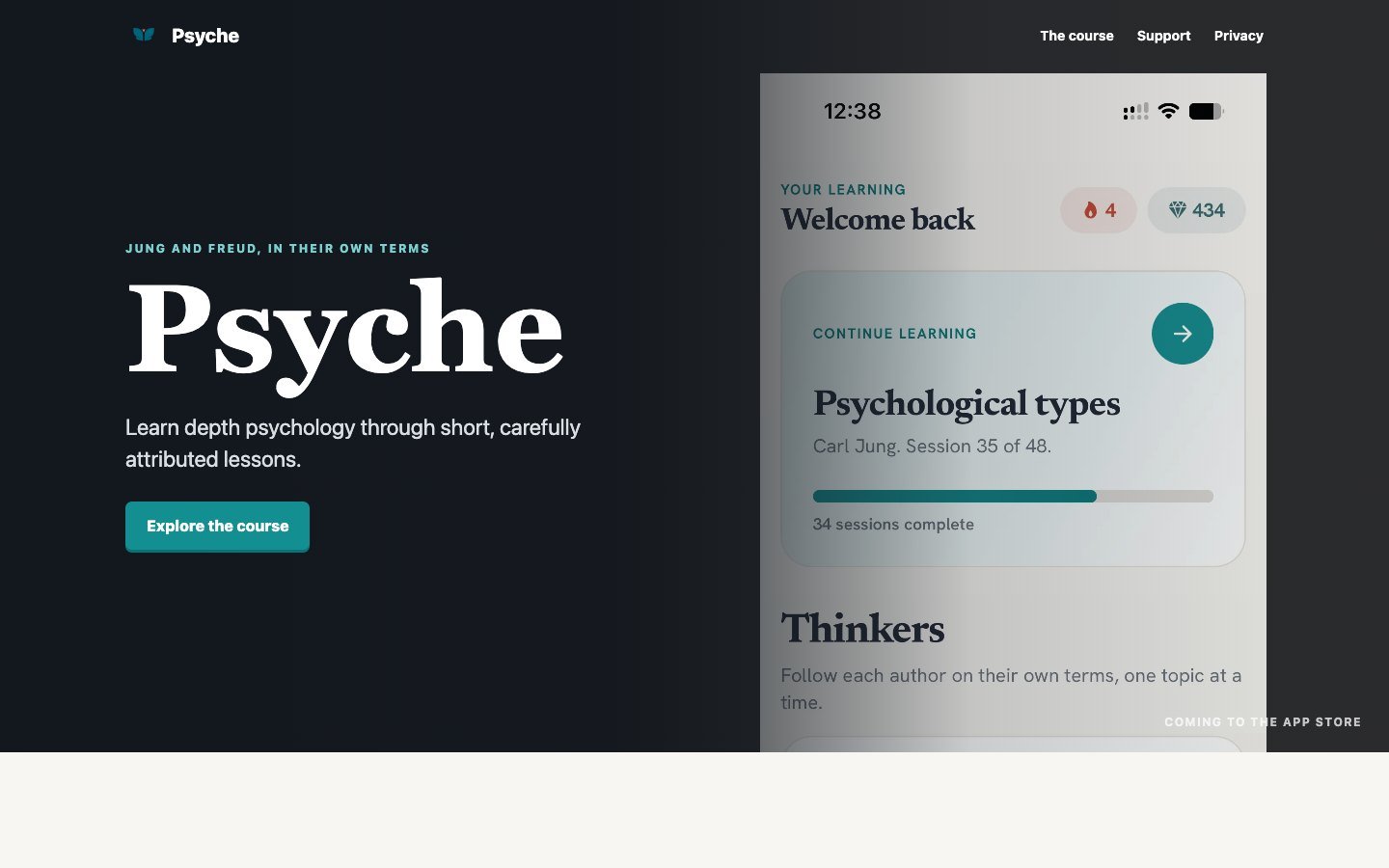 Psyche landing: Jung and Freud, in their own terms.